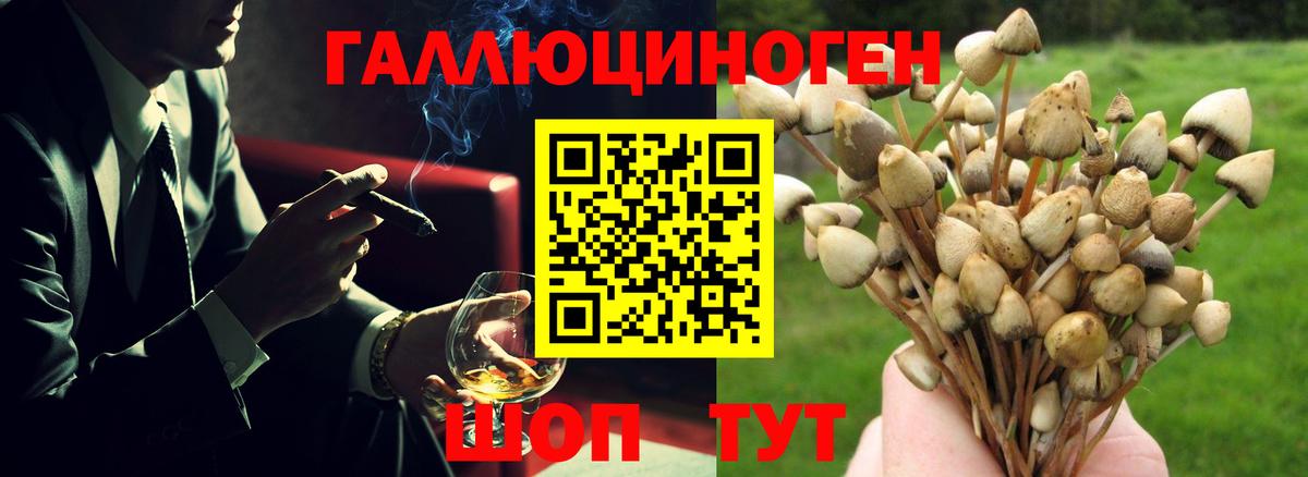 Псилоцибиновые грибы прущие грибы  хочу наркоту  Новокуйбышевск  Вход с VPN  Галлюциногенные грибы Psilocybine cubensis 